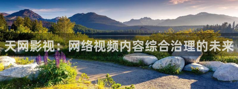 迅播影院vip：天网影视：网络视频内容综合治理的未来