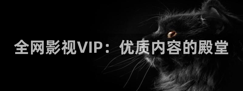 迅播影院电视剧：全网影视VIP：优质内容的殿堂