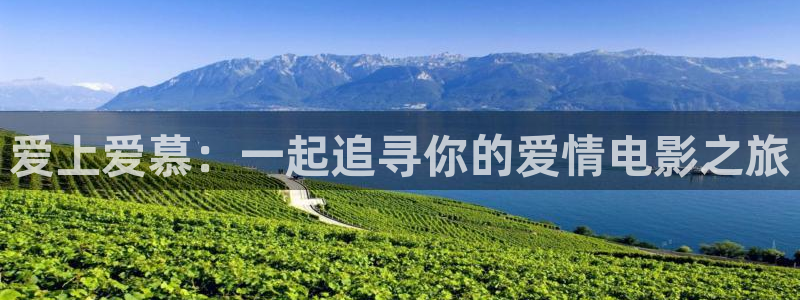 2tucc迅播影院