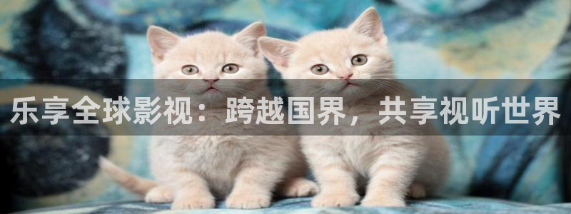 理论片迅播影院：乐享全球影视：跨越国界，共享视听世界