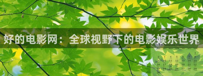 理论片迅播影院：好的电影网：全球视野下的电影娱乐世界