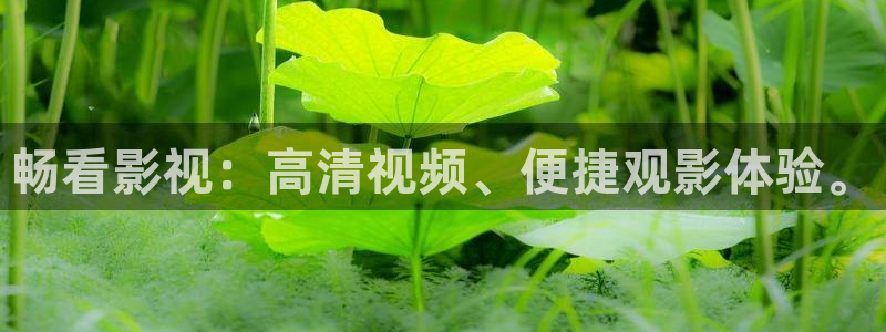 迅播影院播放器下载：畅看影视：高清视频、便捷观影体验。