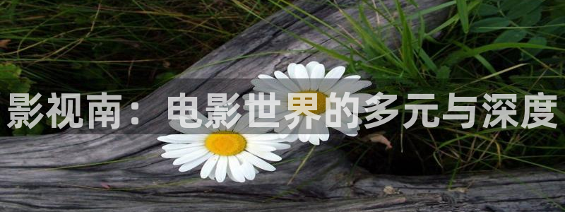天狼星行动迅播影院免费观看：影视南：电影世界的多元与深度