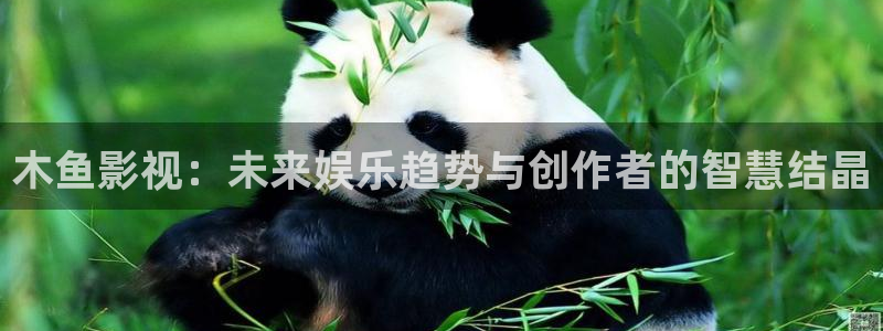 迅播影院播放器下载：木鱼影视：未来娱乐趋势与创作者的智慧结晶